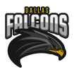 Austin Falcons 